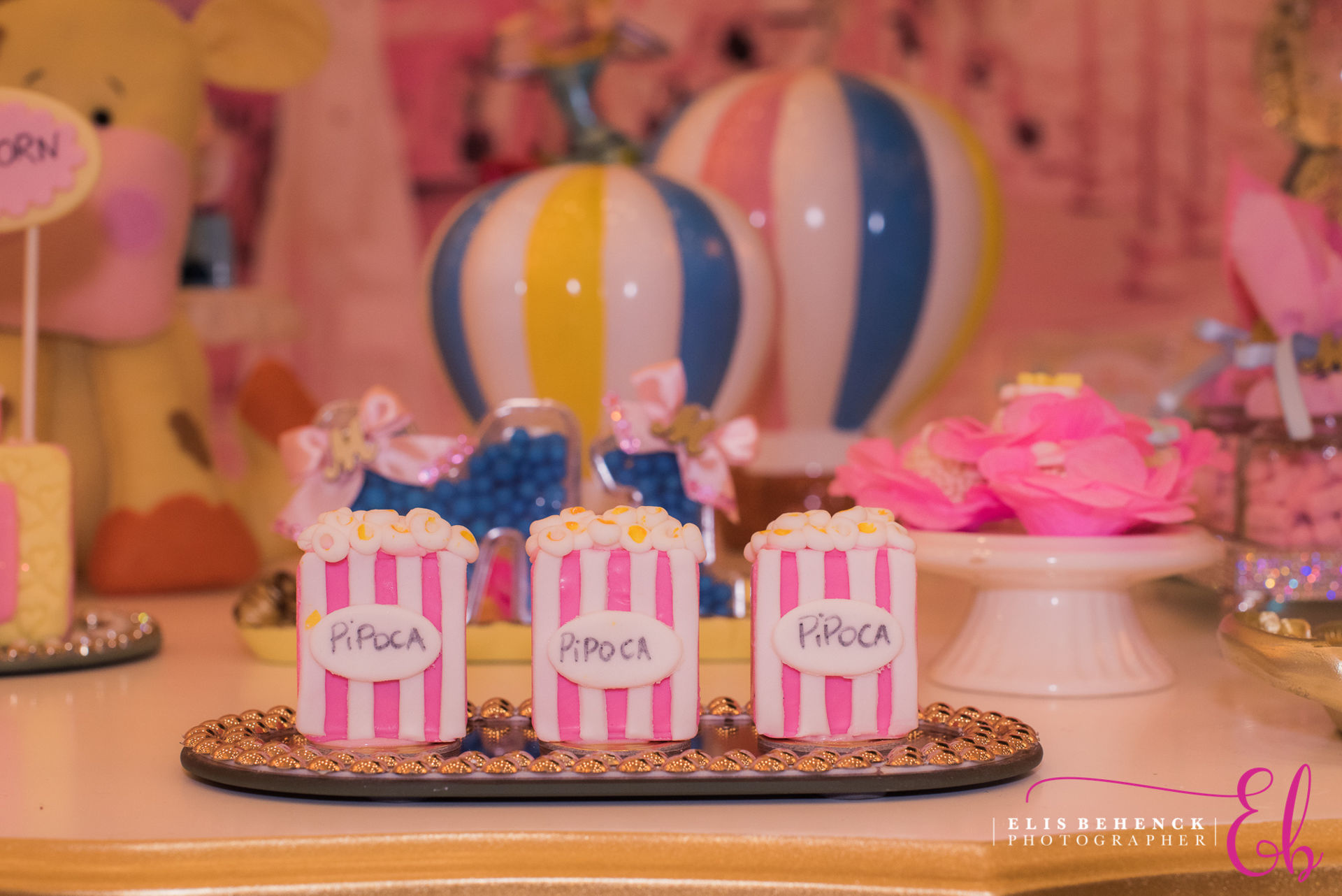 Foto Primeiro Ano Mariana - Imagem 28