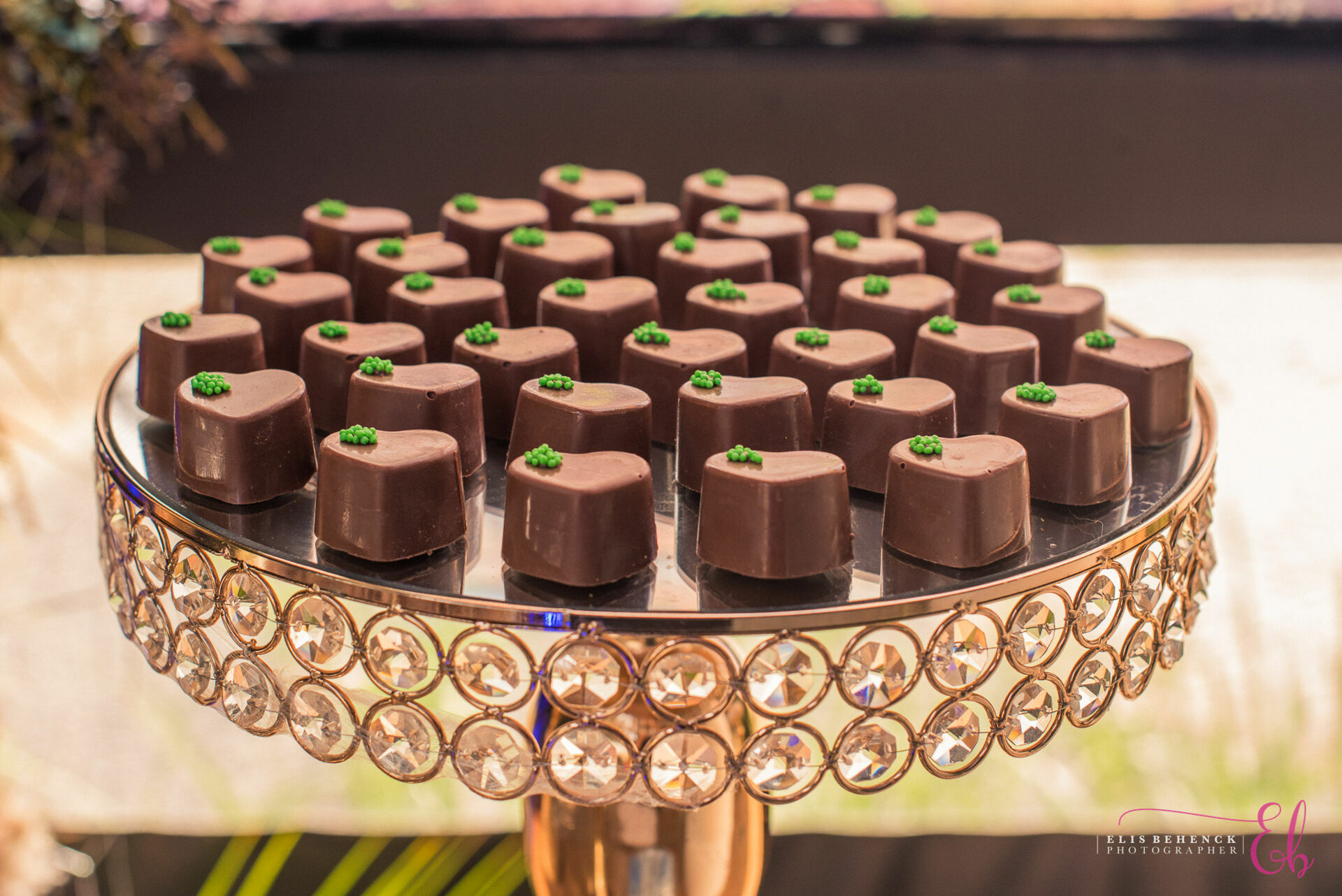 Foto Anna & Vinni - Imagem 4