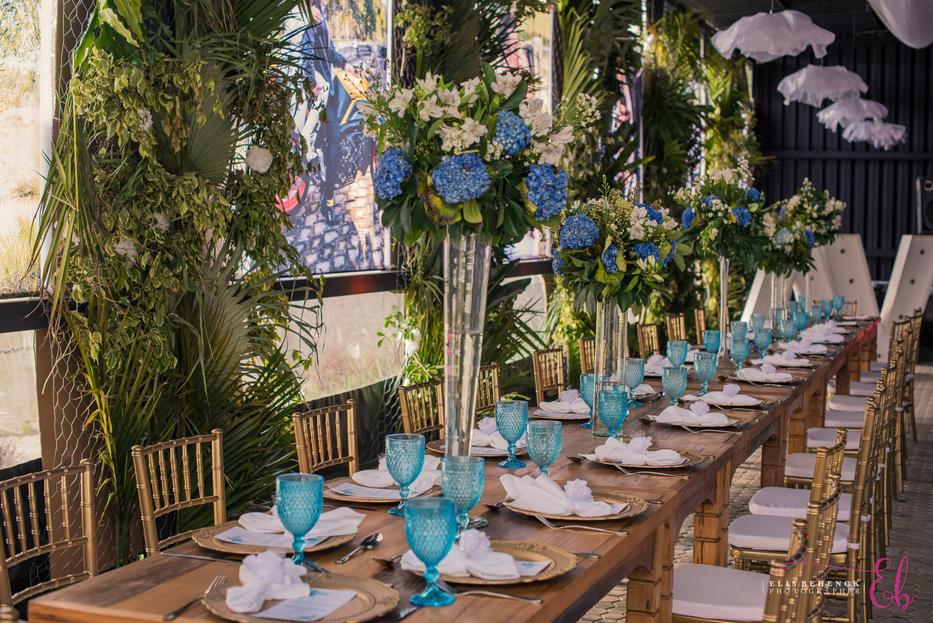 Foto Anna & Vinni - Imagem 8